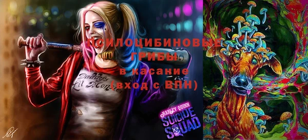 молекула духа Алзамай