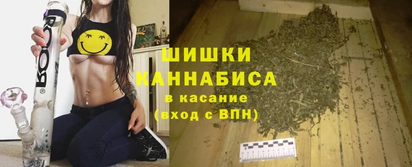 молекула духа Алзамай