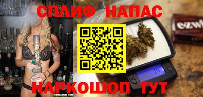 сатива Гай