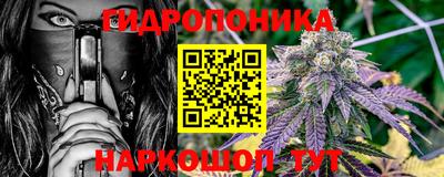ешки Гатчина