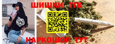 сатива Гай