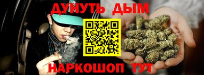 сатива Гай