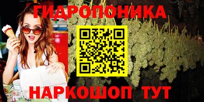 сатива Гай