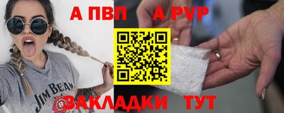 сатива Гай